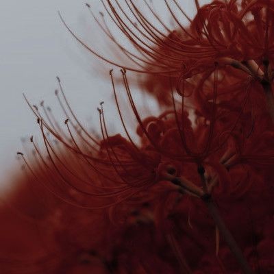 BYREDO Rouge Chaotique Extrait