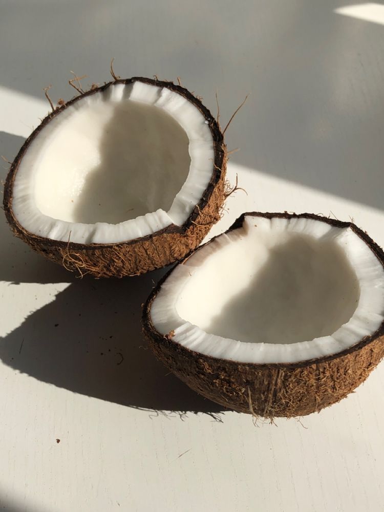 Fugazzi In Love With The Cocos