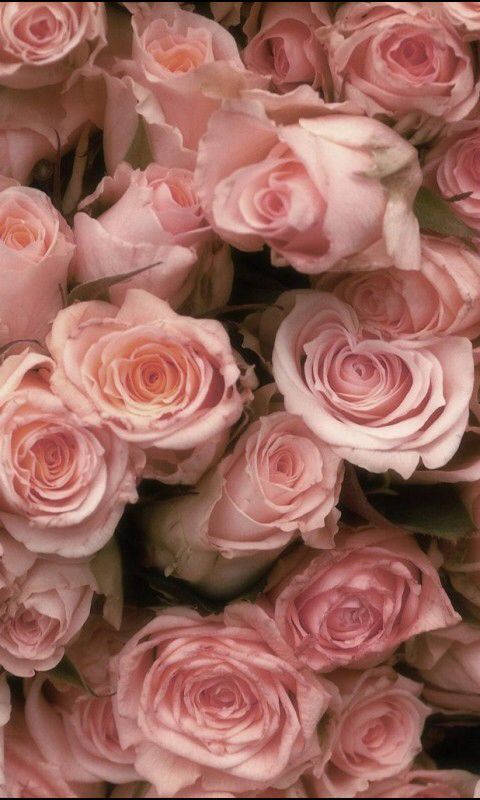 Tom Ford Rose Prick