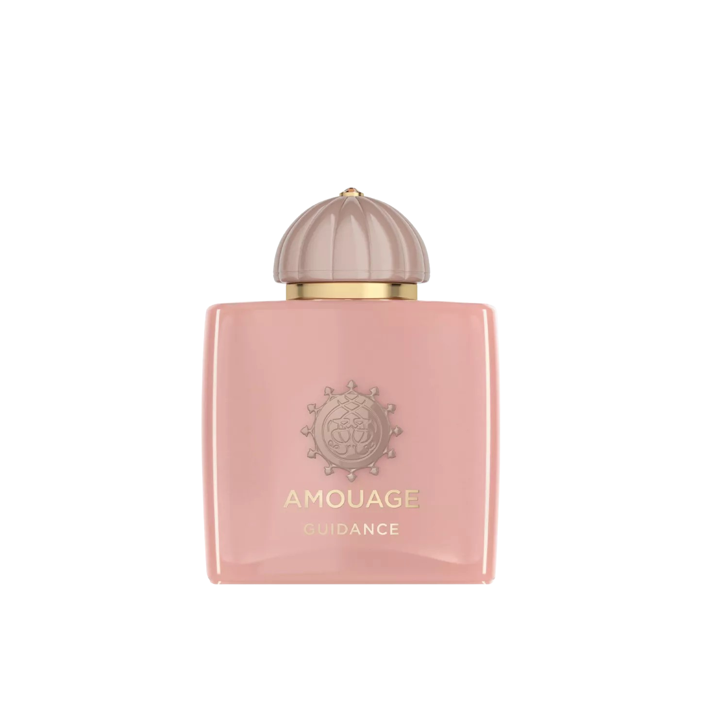 Amouage Guidance