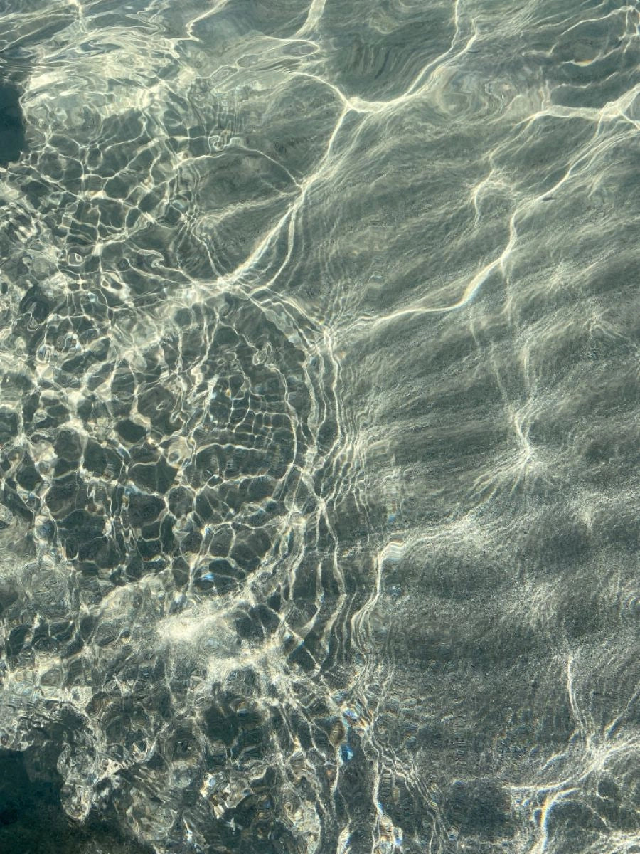 Aquatic