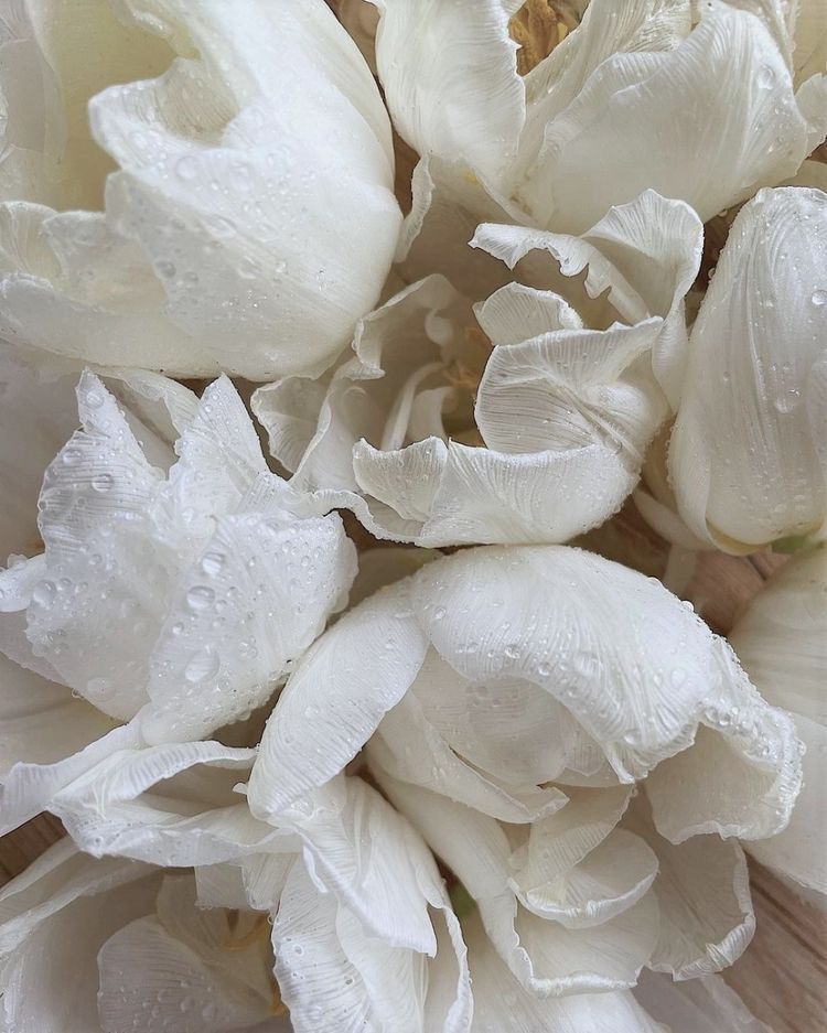 DIPTYQUE L’Eau Papier