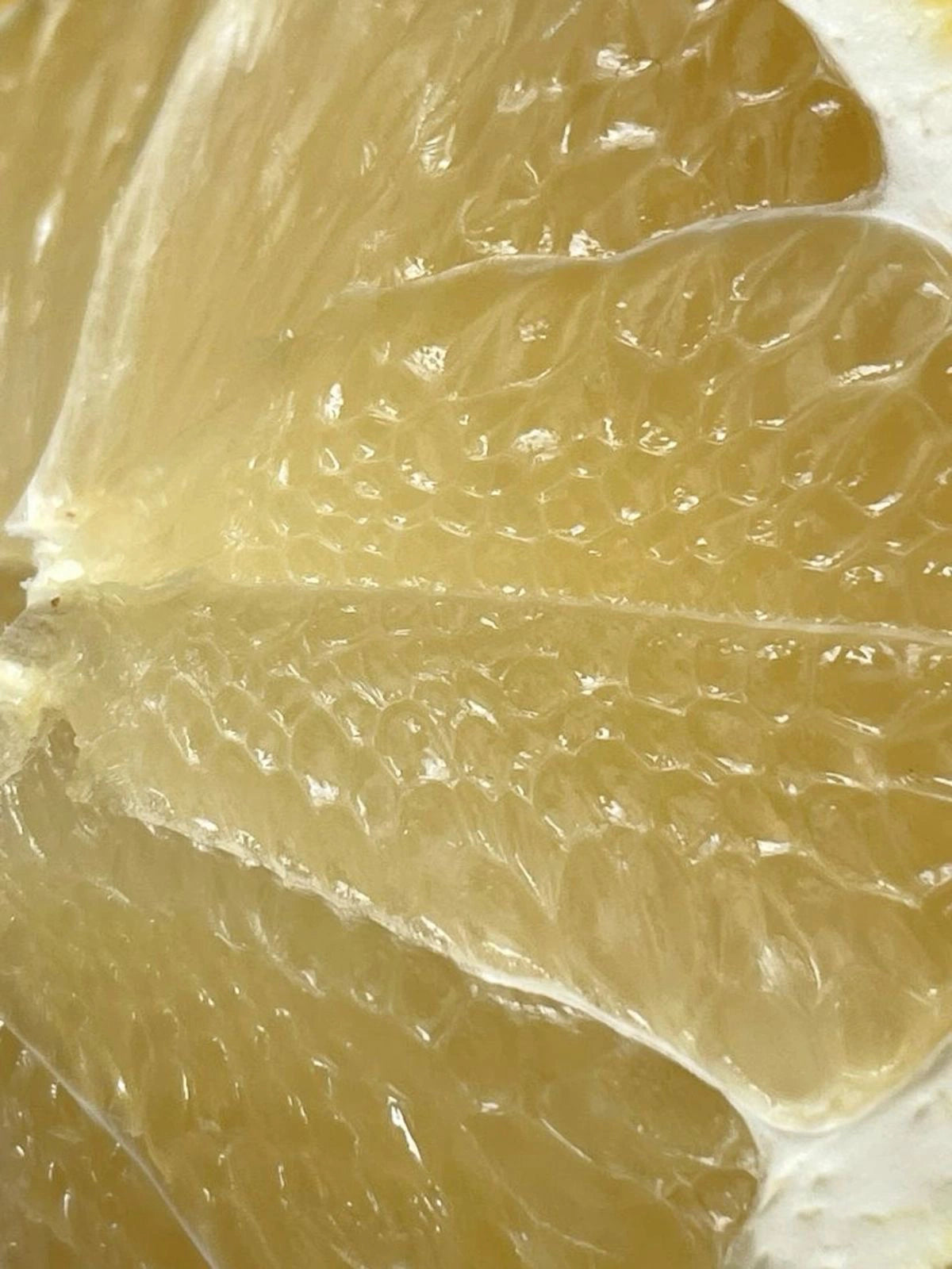NEW NOTES Pomelo Malindi Extrait
